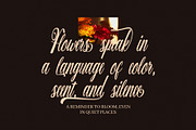Warkina Script Font, a Script Font by Graphicxell (Thumbnail 3 of 8)