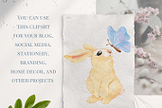 Cute Easter bunny Clipart PNG, a Seasonal Illustration by Mespilia (Thumbnail 4 of 5)
