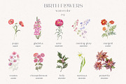 Birth-Flowers. Watercolor & Line Art, a Decorative Illustration by Designwork (Thumbnail 5 of 14)