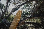 Managiri Aesthetic Brush Font, a Script Font by Hishand Studio (Thumbnail 6 of 8)