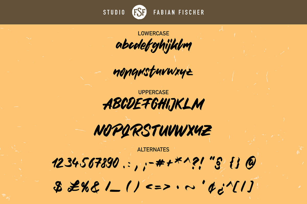 Painted Paul - Handmade Font, a Script Font by Studio FabianFischer (Photo 2 of 3)
