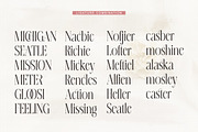 Erangle, a Serif Font by Gatype (Thumbnail 6 of 9)