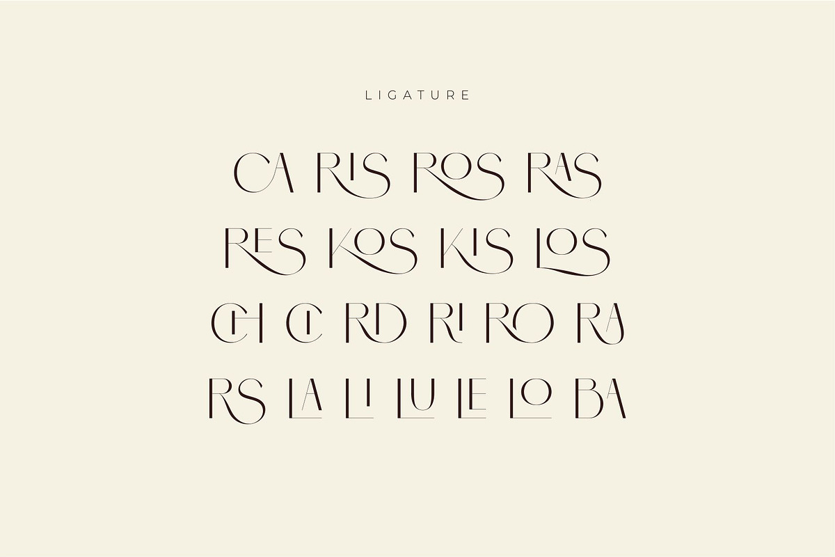 Brisca - Sans Serif Modern Font, a Sans Serif Font by suhadidesign (Photo 12 of 13)