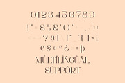 Roeska - Modern Serif Font, a Serif Font by Aqeel_Art (Thumbnail 11 of 12)