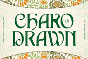 CS Chako Drawn, a Serif Font by Craft Supply Co. (Thumbnail 1 of 8)