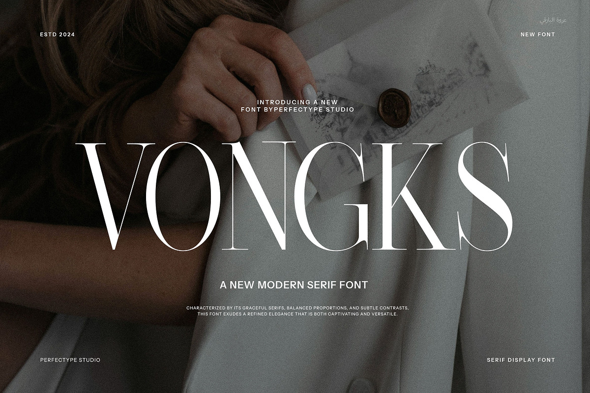Vongks Modern Serif Font, a Serif Font by Perfectype (Photo 1 of 8)