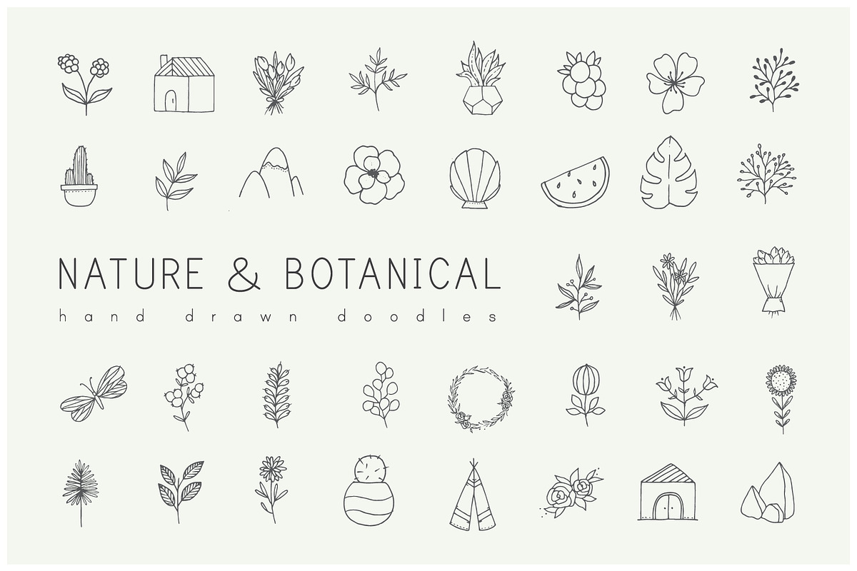 Hand drawn nature & plants doodles, an Illustration by Crocus Paperi (Photo 1 of 4)