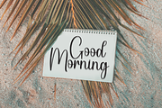 Rustic | Script Font, a Handwritten Font by Scratchones (Thumbnail 5 of 9)
