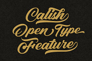 Calish Script, a Script Font by Black Junst (Thumbnail 9 of 11)