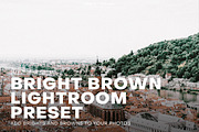 Bright and Brown Lightroom Preset, a Plug-in Add-On by PresetHeroes (Thumbnail 1 of 5)
