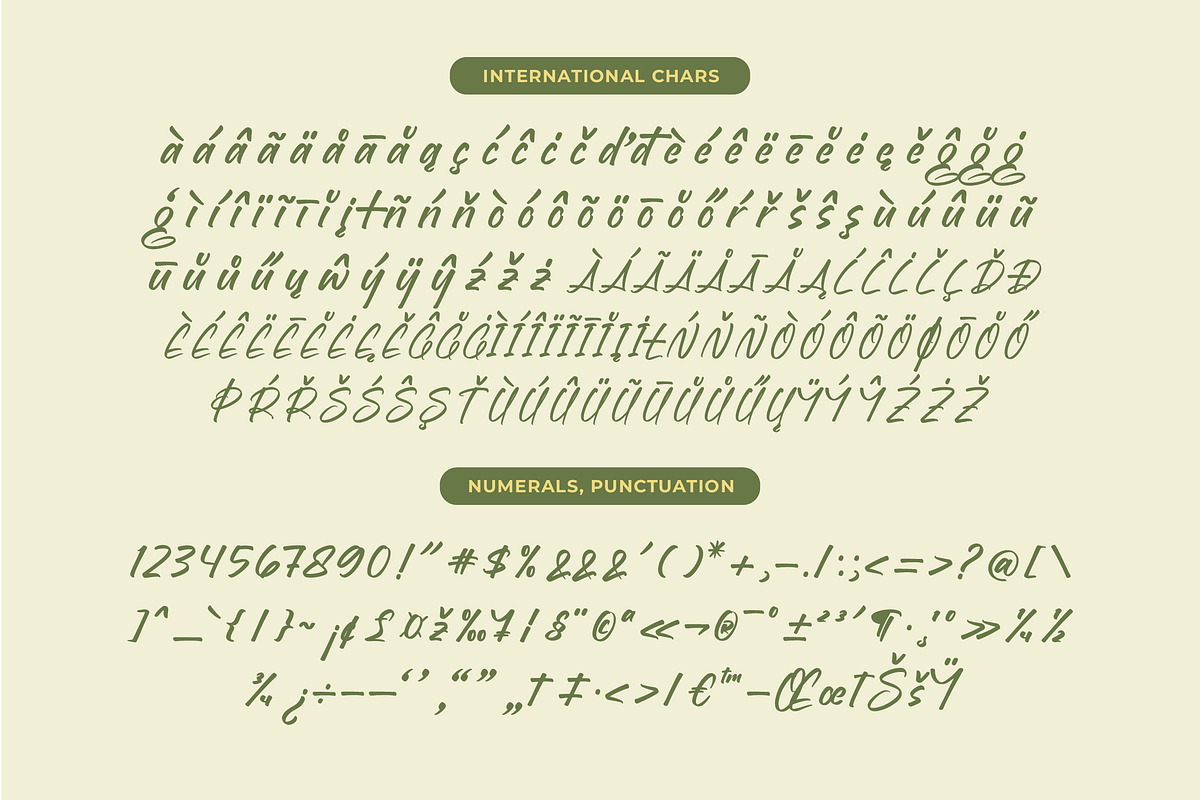 Brighten Shootters Modern Script, a Script Font by Letterena Studios Script (Photo 18 of 20)
