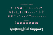 NCL Aekabih Muskey - Retro Groovy, a Serif Font by Enxyclo Studio (Thumbnail 14 of 15)