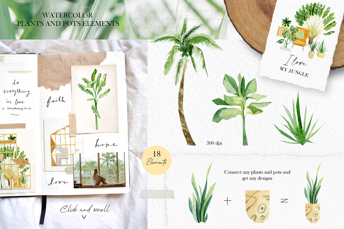 TROPICAL GREENHOUSE. Plants & decor, an Object Graphic by AnnaTkachi (Photo 2 of 9)