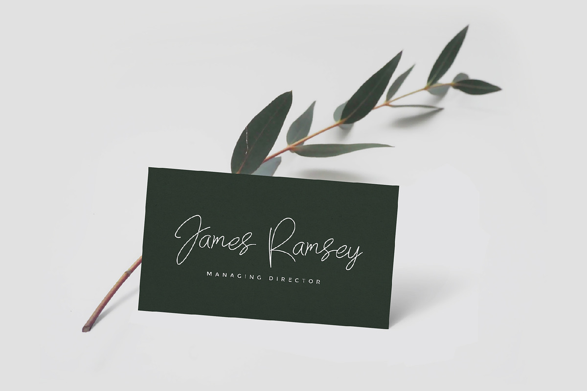 Brecelets Signature Font preview 3