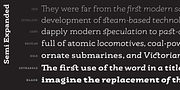 Rogliano Pro, a Slab Serif Font by Untype (Thumbnail 25 of 26)
