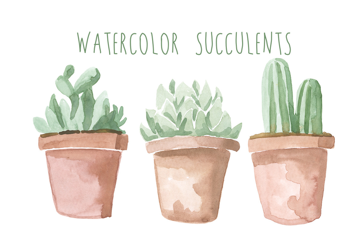 Watercolor Succulents, an Illustration by Digital Press Creation