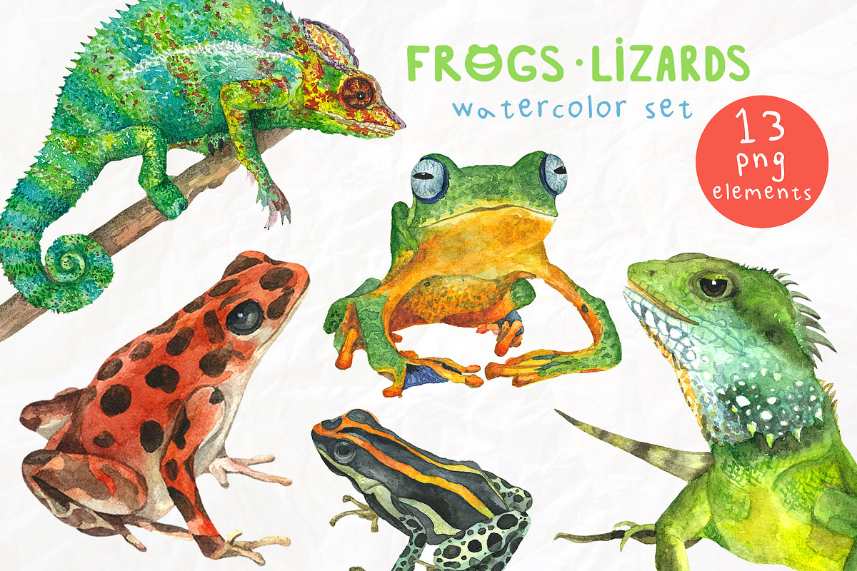 Frogs&lizards.Watercolor set, an Illustration by Nastilustra (Photo 1 of 4)