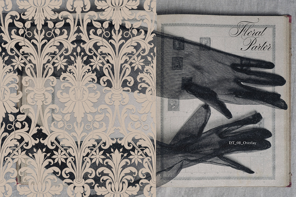 Vintage Floral Frames & Overlays, an Object Graphic by alonahaidash (Photo 4 of 19)
