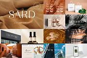 Sans Serif Bundle, a Sans Serif Font by Larin Type Co. (Thumbnail 9 of 12)
