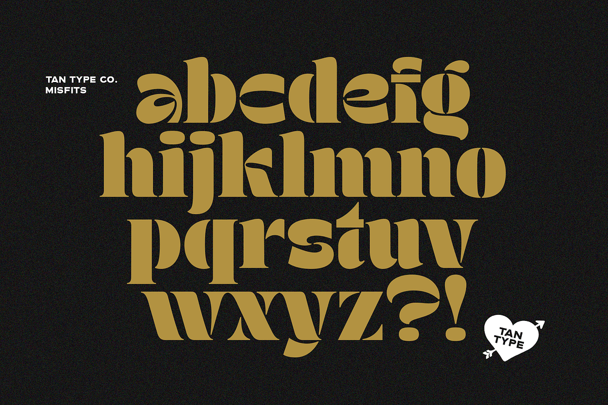 TAN - MISFITS, a Font by TanType (Photo 13 of 15)