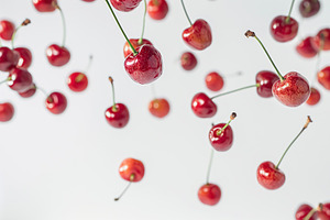 Ripe cherries flying in the air on white background, a Food & Drink Photo by AlyaAnd