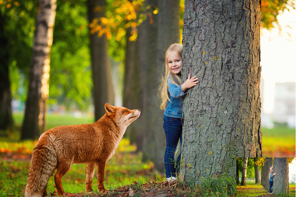 24 Fox Photo Overlays, an Action Add-On by PhotoEffects.Store (Photo 3 of 10)