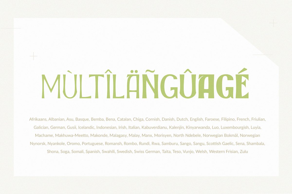 Reizo - a subtle sans serif, a Sans Serif Font by Zeune Type Foundry (Photo 9 of 10)