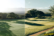 Soft Green Presets for Lightroom, a Preset Add-On by Hubzway (Thumbnail 3 of 5)