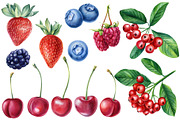 Watercolor Fresh Berries, a Decorative Illustration by Hanna Hryharenka (Thumbnail 9 of 16)