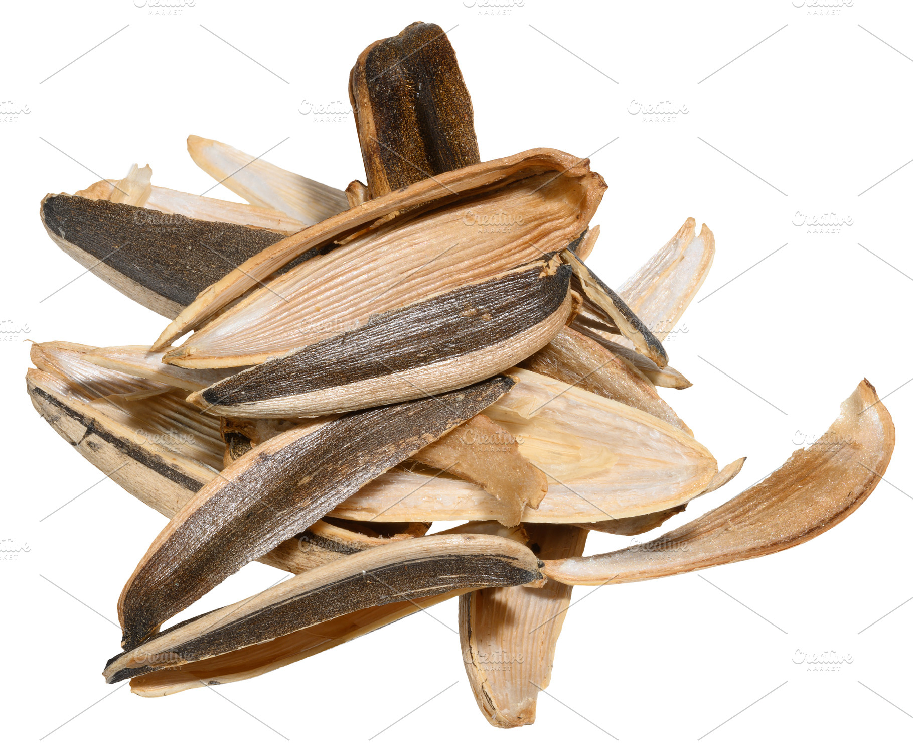 Close up of a chaotic pile of empty sunflower seed husks. Isolat, a Food & Drink Photo by ndanko