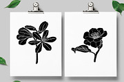 Vintage botanica, an Object Graphic by Mii Lab (Thumbnail 4 of 8)