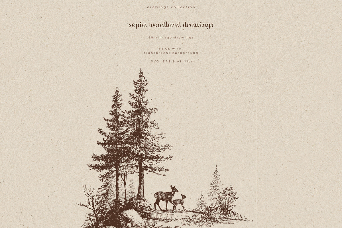 Sepia Woodland Drawings, an Animal Illustration by PeDe Designs (Photo 15 of 15)