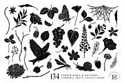 Shadow Garden Vector Collection, a Decorative Illustration by rouxsupplyco (Thumbnail 14 of 17)