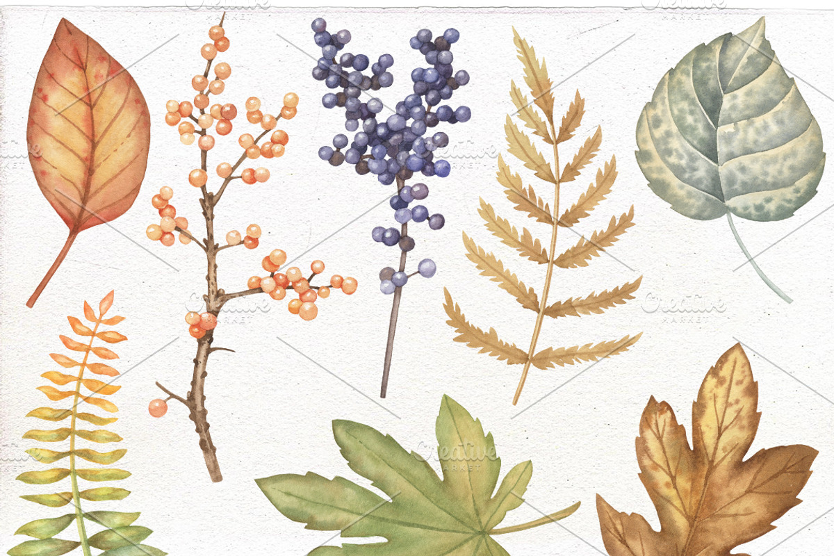 Thanksgiving watercolor Bundle., an Illustration by Mary (Photo 2 of 9)
