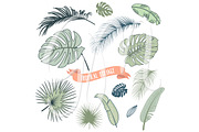 Wedding Tropical Floral clipart, a Decorative Illustration by GraphicMarket (Thumbnail 2 of 5)