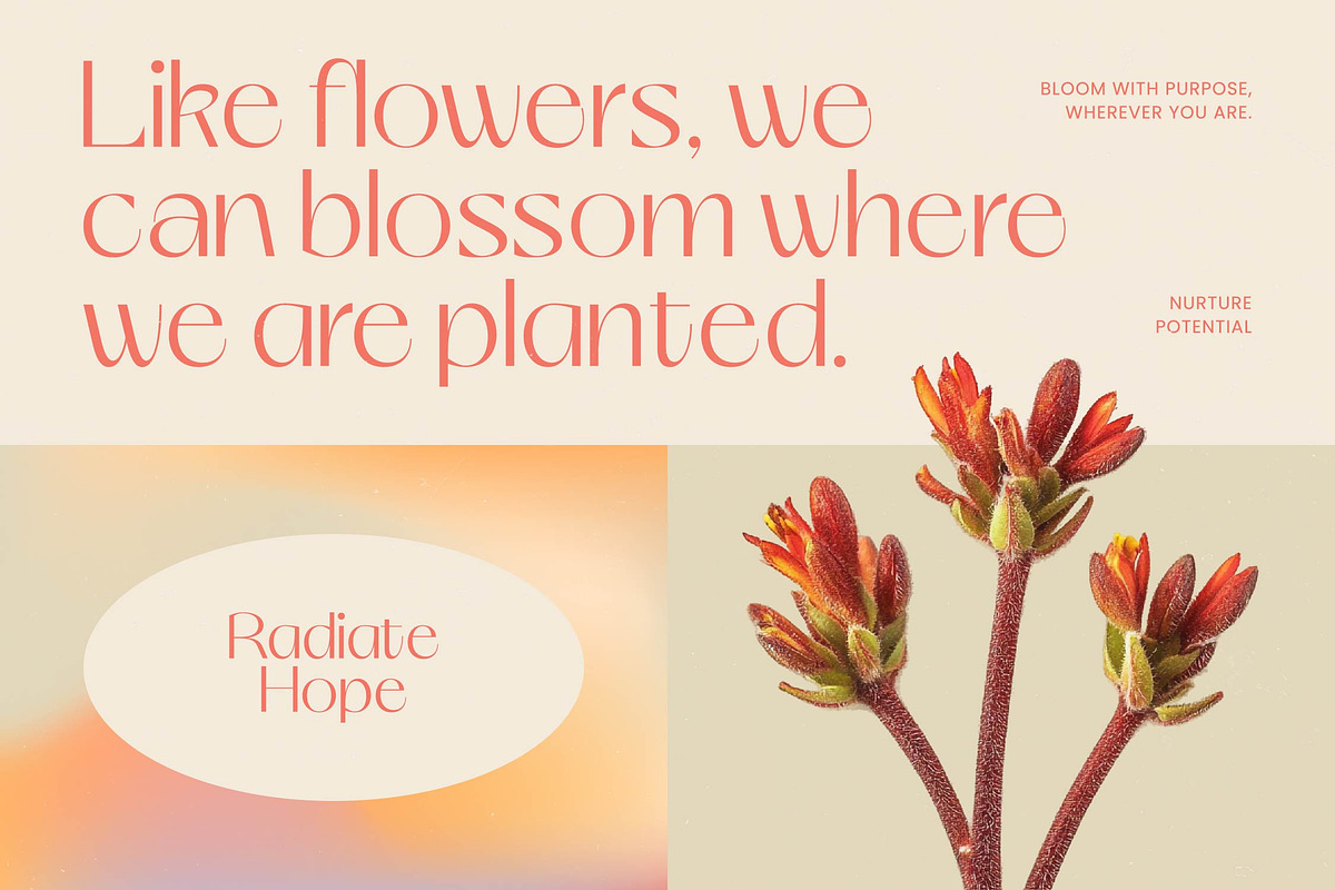 Smyth Kelagon Elegant Thin Sans, a Sans Serif Font by timelesstype.co (Photo 6 of 20)