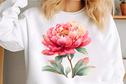 Watercolor Peony Flower Clipart, an Illustration by GatewayDesign (Thumbnail 5 of 5)