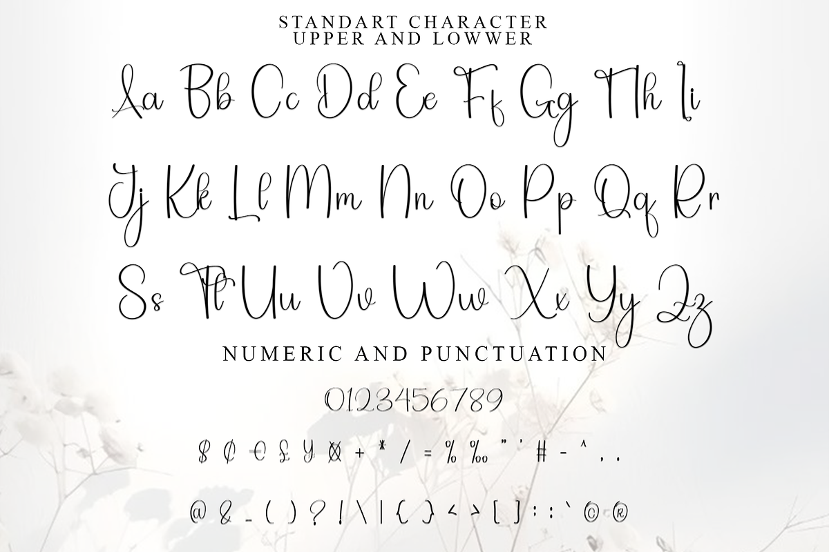 Samantha Signature, a Handwritten Font by InermediaSTUDIO (Photo 5 of 8)