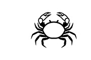 Ocean Marine Animal Silhouette, an Illustration by Amazin_art (Thumbnail 30 of 31)