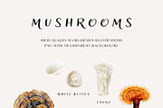 Mushroom illustration. Fungi clipart, a Food Illustration by Diana Askarova Art (Thumbnail 3 of 6)