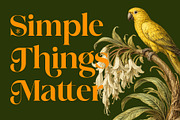 Roshine – Elegant Vintage Serif Font, a Serif Font by Vampstudio (Thumbnail 3 of 12)