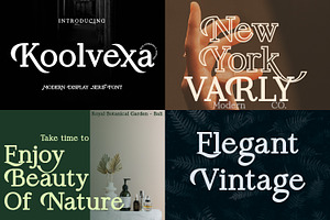 The 2021 Elegant BUNDLE-12 Typefaces