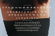 Goat & Qalvigo Modern Serif Font, a Serif Font by Storytype Studio (Thumbnail 14 of 15)