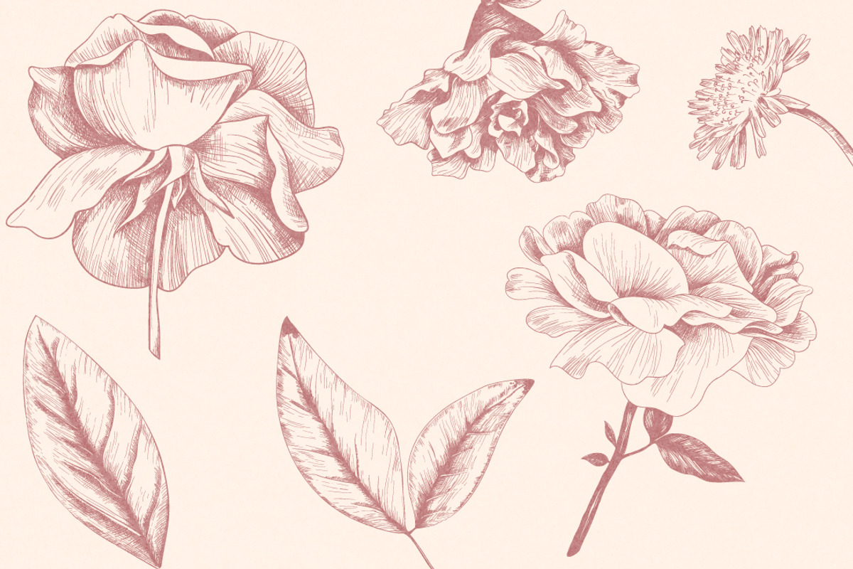 Vintage Bundle- 250 vector elements, an Object Graphic by TatianaCociorva (Photo 3 of 19)