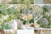 230 Sage Green Stock Images Bundle, a Beauty & Fashion Photo by Allure Art (Thumbnail 9 of 33)