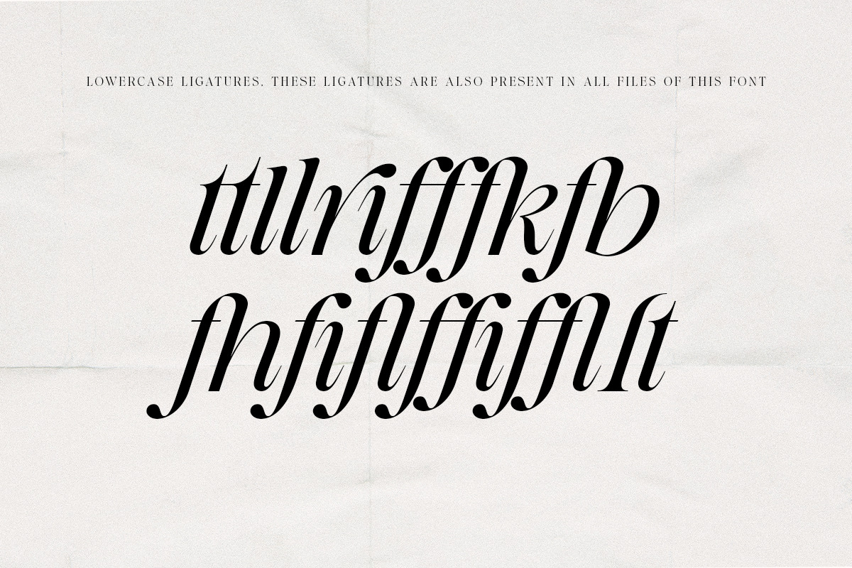 The Erupha Serif | 12 Font Files, a Serif Font by Pista Mova (Photo 9 of 24)