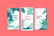 Floral Elements Bundle, a Decorative Illustration by Boyko Pictures (Thumbnail 7 of 11)