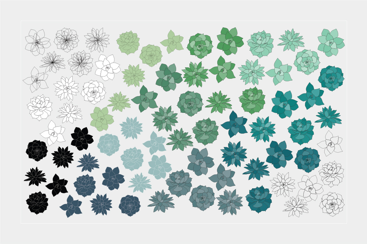 Succulent Clip Art - Botanic Vectors, an Illustration by Turning Moss (Photo 3 of 5)