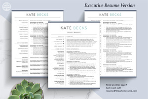 Professional Resume Template CV Word