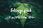 Foliage pack, a Templates & Theme by ApertureVintage (Thumbnail 5 of 21)